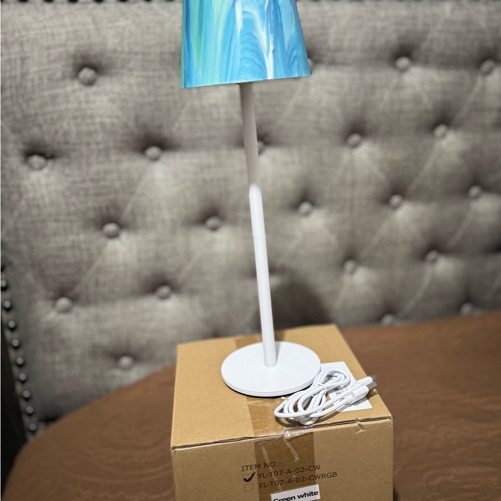 Amazon Blue and White Reading Light
